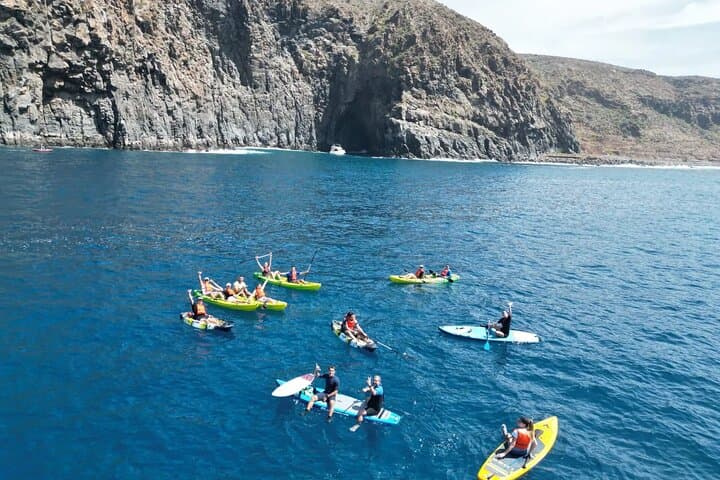 Turtle and Dolphin Watching Kayaking and Snorkeling Tour