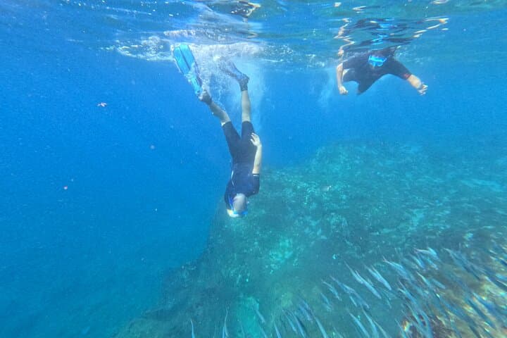 Turtle and Dolphin Watching Kayaking and Snorkeling Tour
