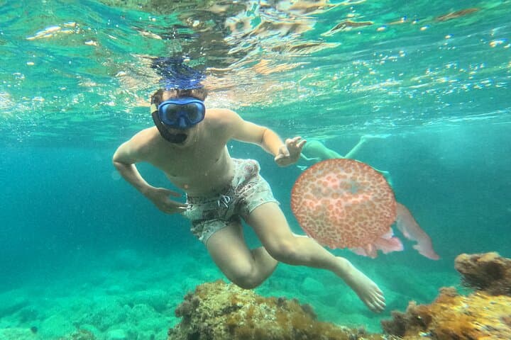 Costa Brava Kayak and Snorkel from Barcelona (Small Group)