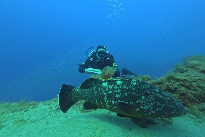 Scuba Diving in Lanzarote (for certified divers only)