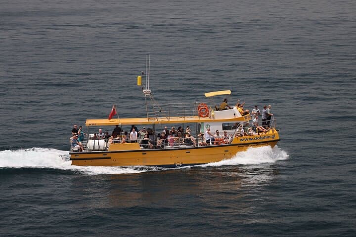 Gibraltar Sightseeing & Dolphin Watching Tour from Costa del Sol