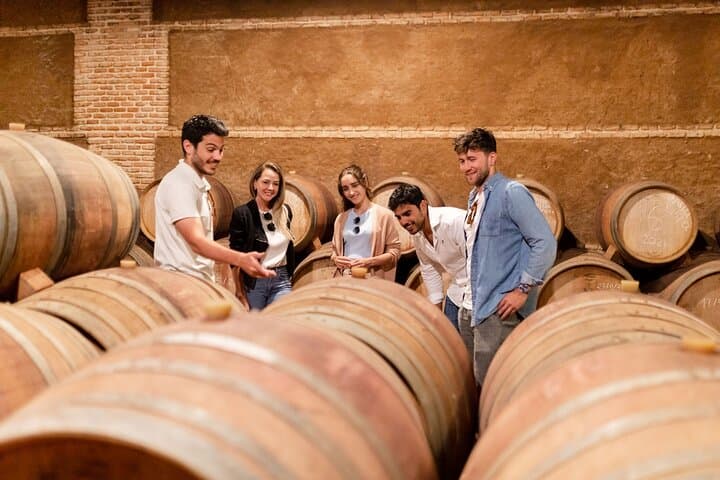 Segovia, Avila and Toledo in 2 days from Madrid