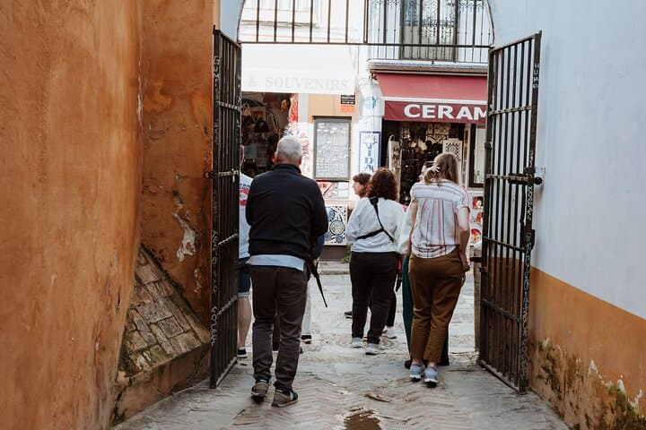 Seville Former Jewish Quarter Walking Tour: Santa Cruz