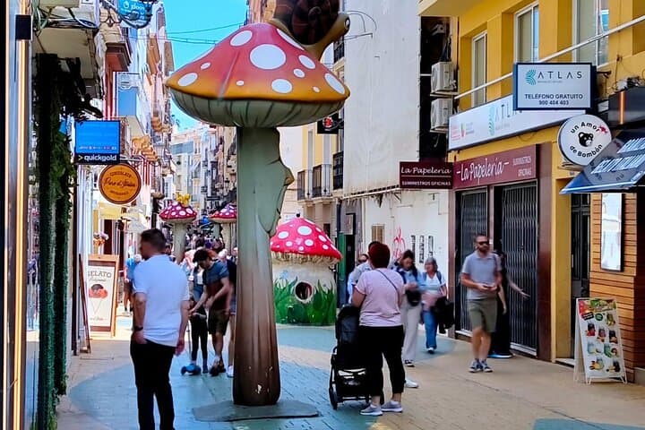 Private Walking Tour to Alicante