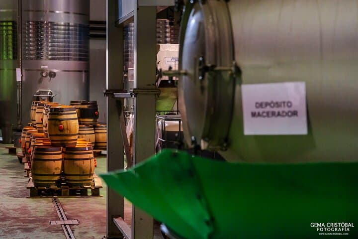 Visit the Oldest Winery of Malaga and Wine Tasting