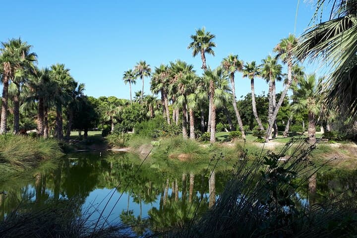 Self Guided Scavenger Hunts in Alicante with 4 Locations