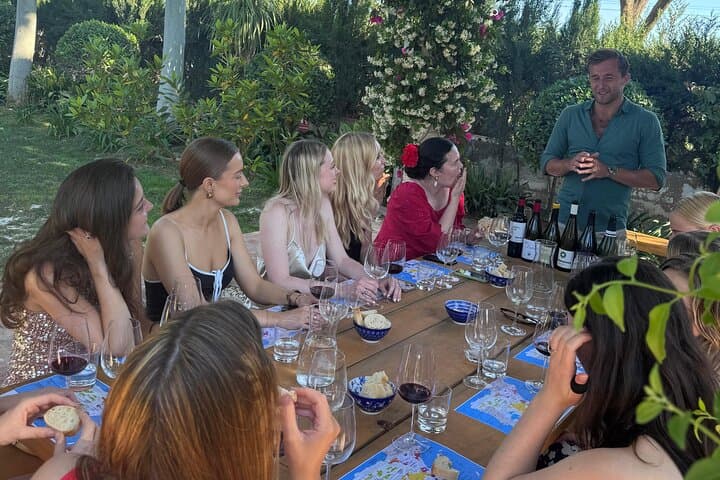 Wine Tasting Experience with a Professional Sommelier in Valencia City Center
