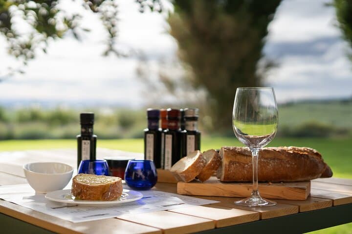 Oleotourism Navarre. Private tour and tasting Eco-friendly EVOO Artajo