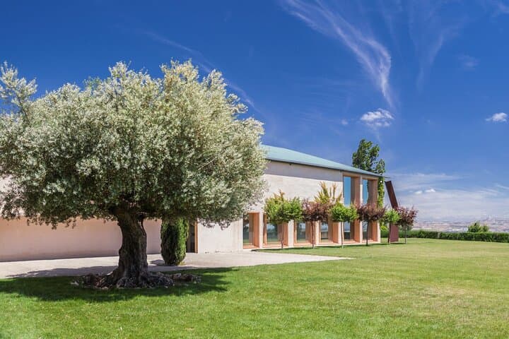 Oleotourism Navarre. Private tour and tasting Eco-friendly EVOO Artajo