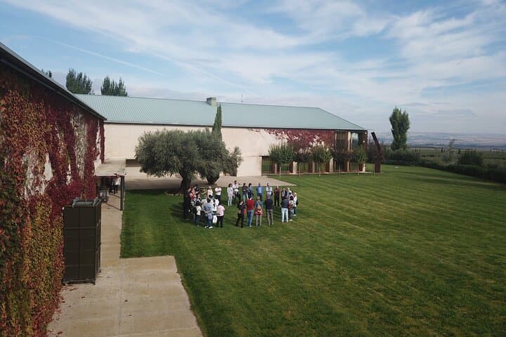 Oleotourism Navarre. Private tour and tasting Eco-friendly EVOO Artajo