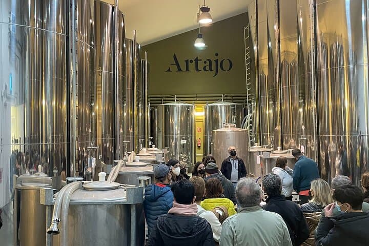 Oleotourism Navarre. Private tour and tasting Eco-friendly EVOO Artajo