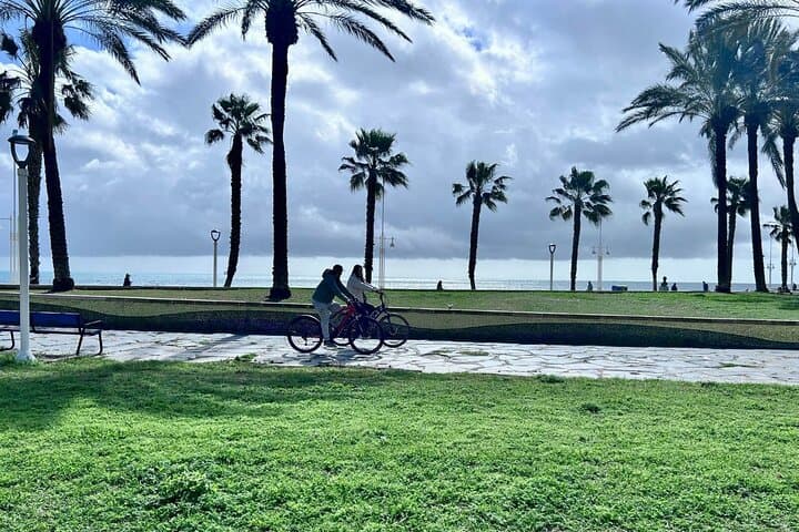 Malaga Electric Bikes Guided Tour