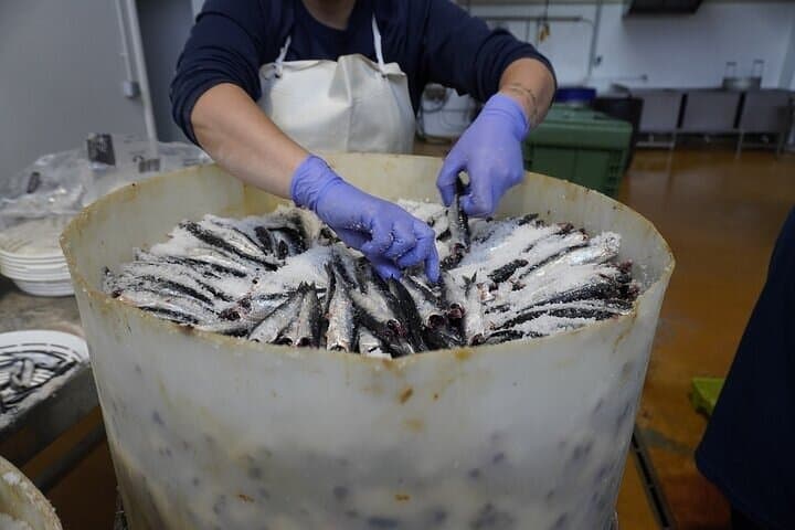 Visit and tasting 5Ñ de Santoña | BEST ANCHOVIES SANTOÑA 2026