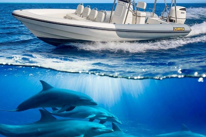 Dolphin Tours in Fuerteventura and snorkeling on the coast