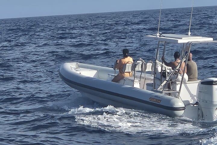 Dolphin Tours in Fuerteventura and snorkeling on the coast