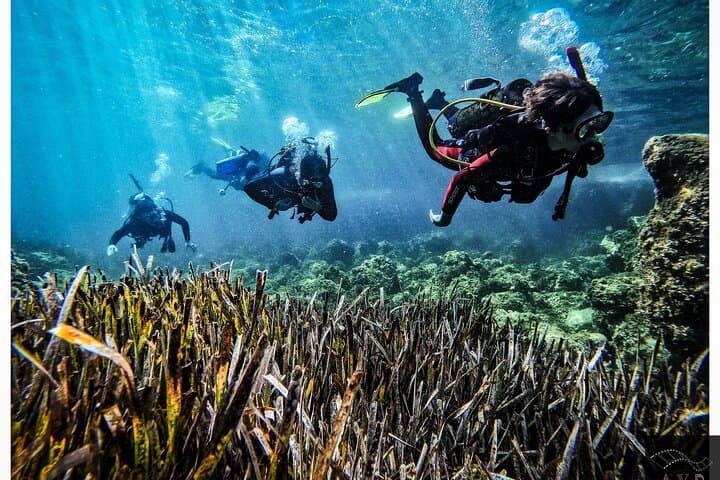 Try scuba with us