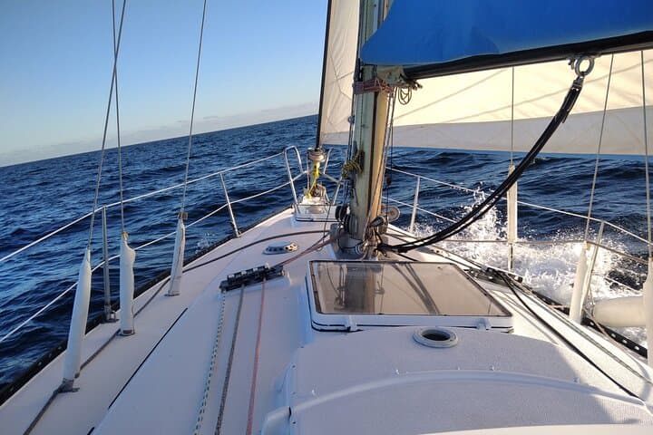 Sailing through Estepona and the Costa del Sol is a magical experience: wind in the sails, clear horizon and absolute freedom. Discover authentic sailing in the Mediterranean.