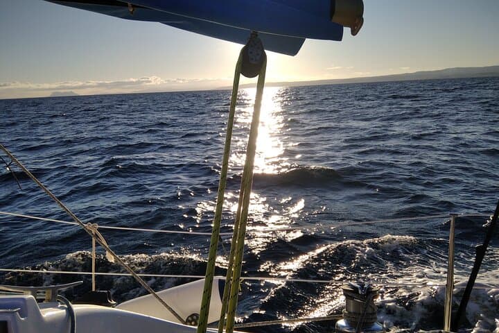 Calm, sea and disconnection: sail silently, paddle, relax on deck and let the sounds of the sea carry you by. Mindful sailing from Estepona.