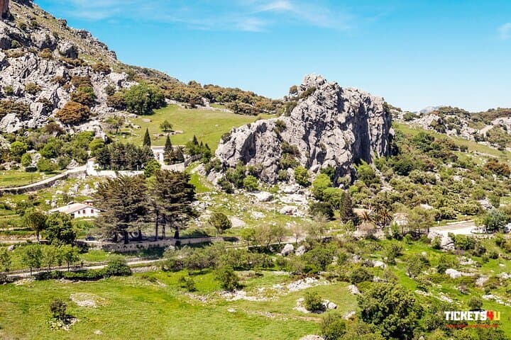 Private Transfer from Seville to Ronda