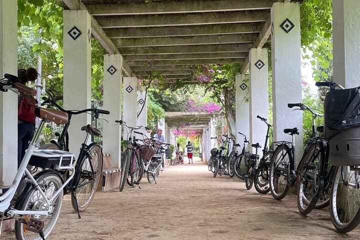 Private Seville Electric Bicycle Tour with a Local Guide