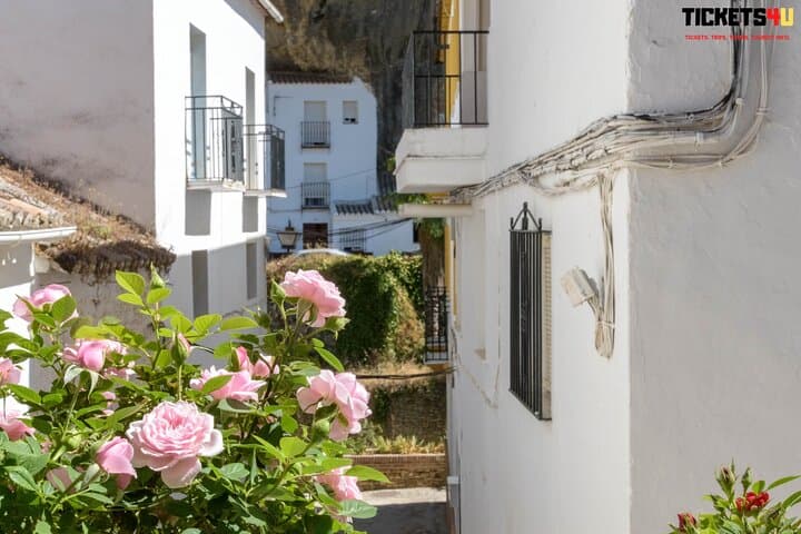 Day in Pueblos Blancos and Ronda from Seville/ Small groups