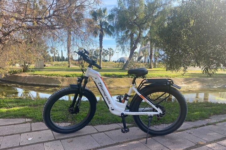 Valencia Albufera E-Bike Tour: The Park Most Visitors Miss