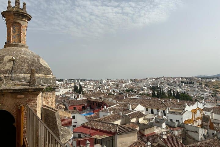 from Marbella/Estepona: Private VIP Ronda Tour with Tapas + Admission