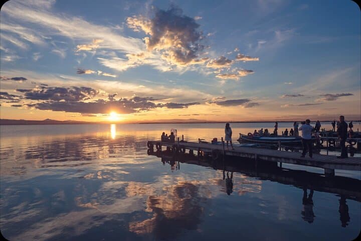 Valencia Albufera E-Bike Tour: The Park Most Visitors Miss