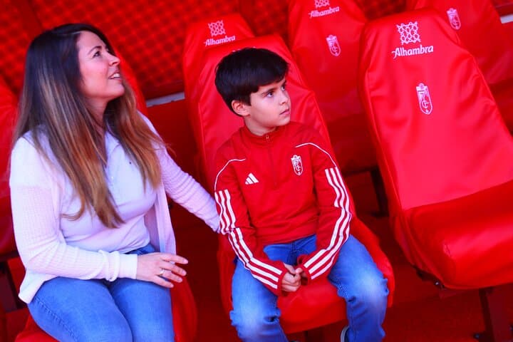 Nuevo los Cármenes Interactive Tour, Granada Stadium CF