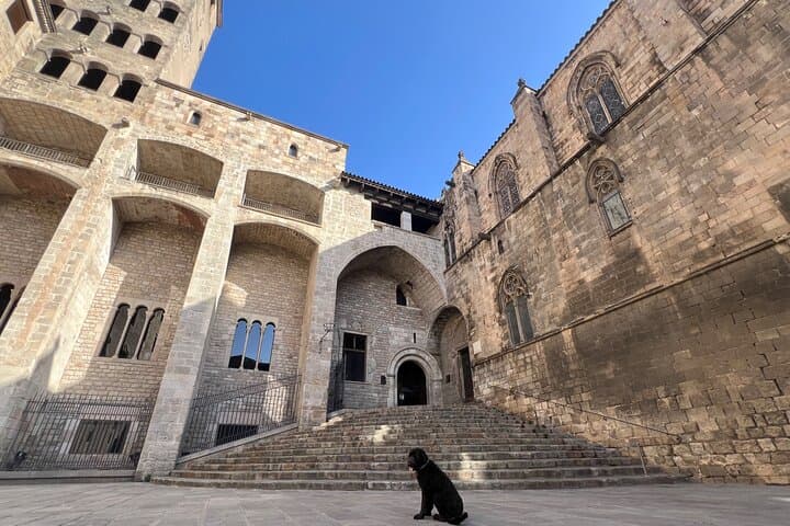 Guided Walking Tour in Barcelona with a friendly Dog