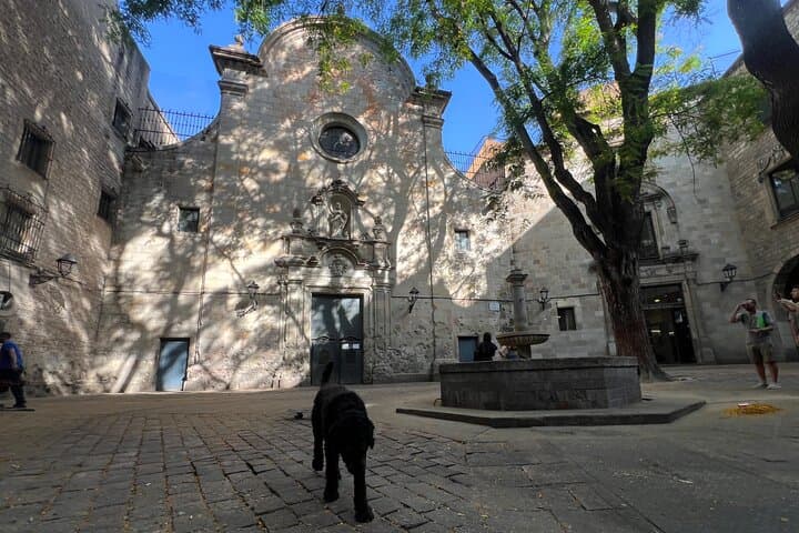 Guided Walking Tour in Barcelona with a friendly Dog