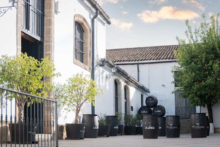 Guided Winery Tour with Wine Tastings in Jerez