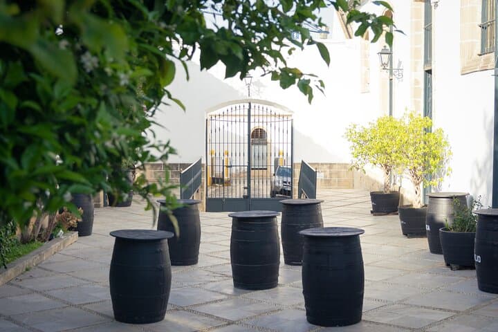 Guided Winery Tour with Wine Tastings in Jerez