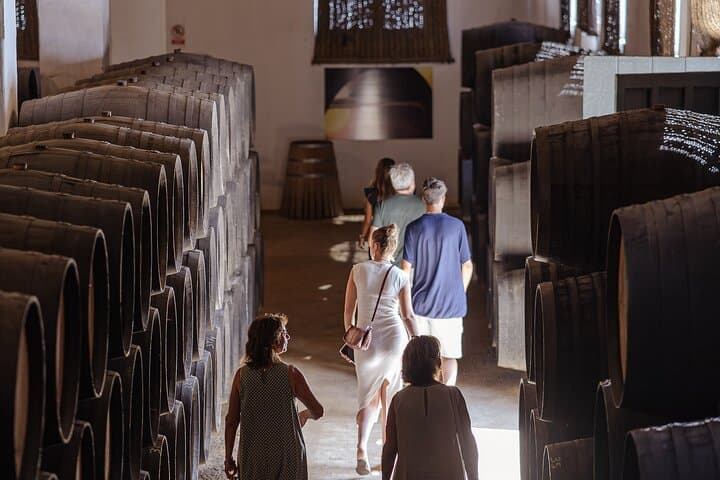Guided Winery Tour with Wine Tastings in Jerez