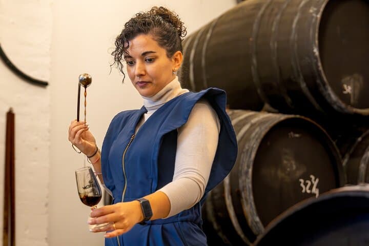 Guided Winery Tour with Wine Tastings in Jerez