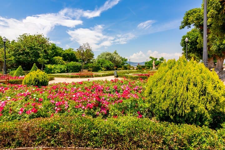 Montjuïc Walking Tour With Optional Flamenco Show