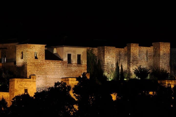 Malaga by Night: Private & Customizable Evening City Tour