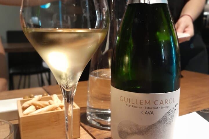 Barcelona: Premium Wine Tasting & Private Walking Tour