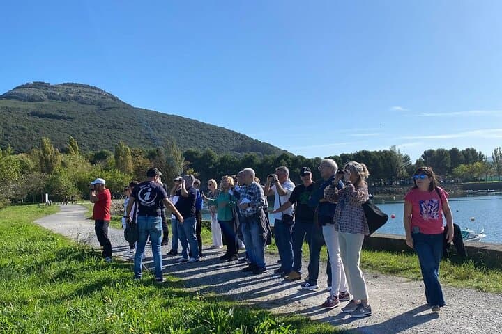 getting to know the natural park of the marshes and watching the birds