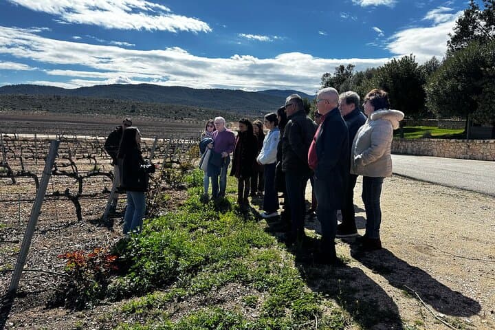 Vineyards visits group