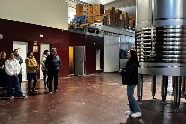 Fermentation tanks