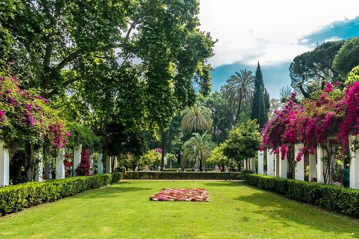 Seville’s Parque María Luisa and Plaza de España Yoga and Brunch