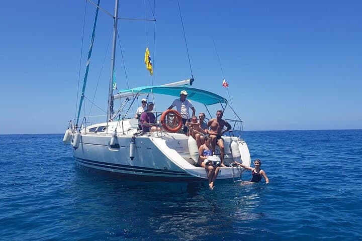 Private Charter: Whale and Dolphin Watching (Max. 11 people)