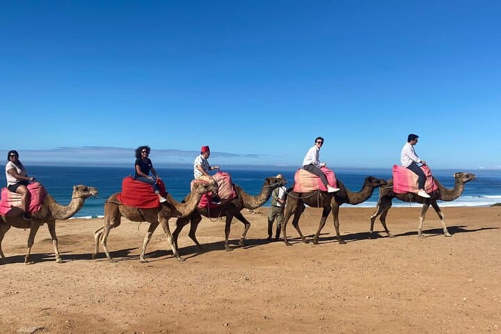 Tangier Day Trip from Cadiz Bay with Lunch Included