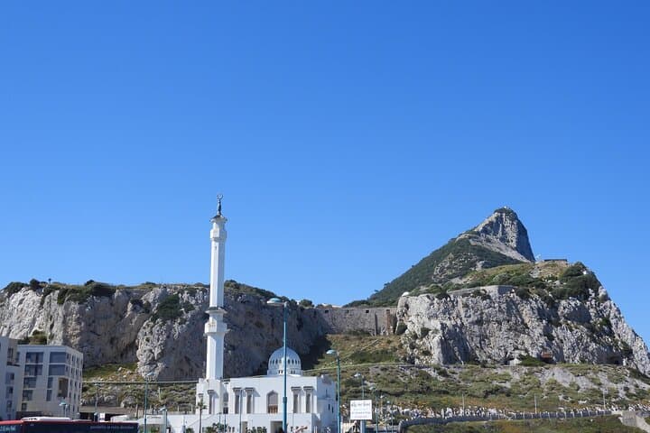 Gibraltar Day Trip from Cádiz Shore with Rock Tour