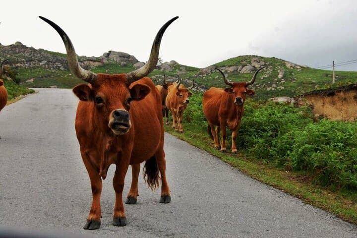 Portugal 9-Day Self-Guided 4WD Self-Drive Journey (from Madrid)