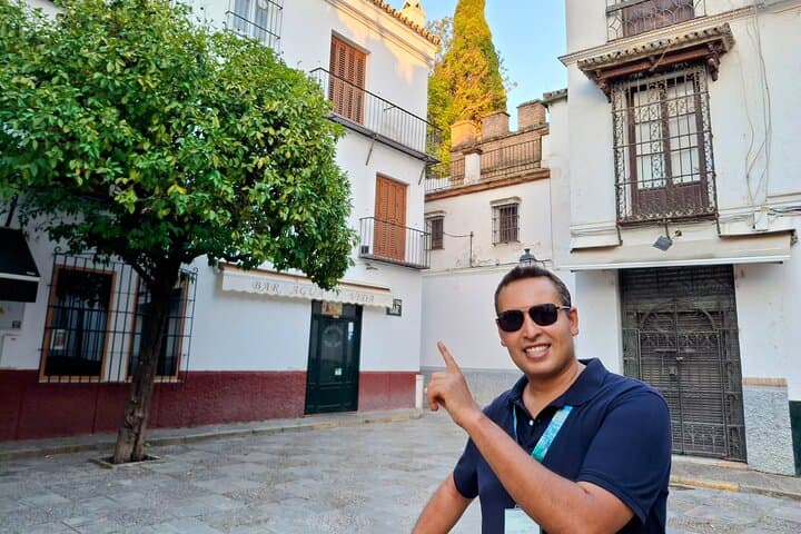 Seville Private Guided Tour Cathedral Alcázar City Highlights