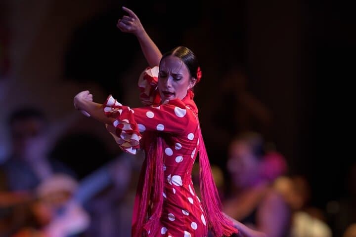 Dinner with flamenco in Valencia