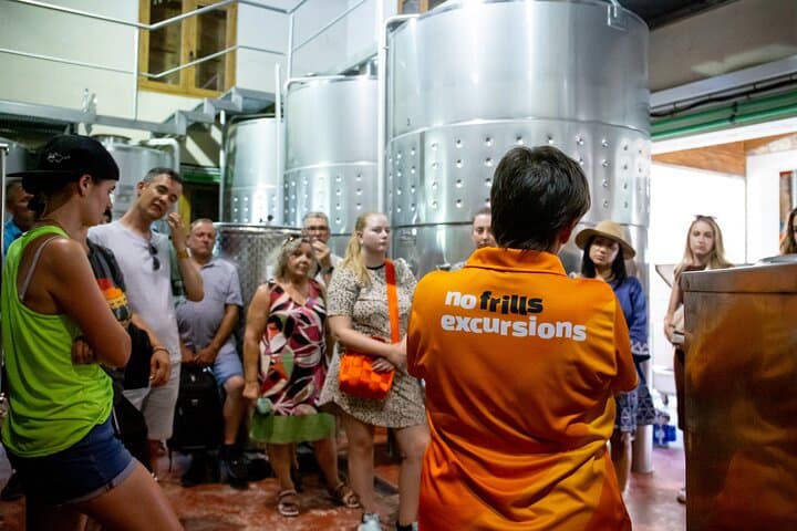 Alcudia Winecellar Tour with Vineyard Visit, Tasting of 5 Wines