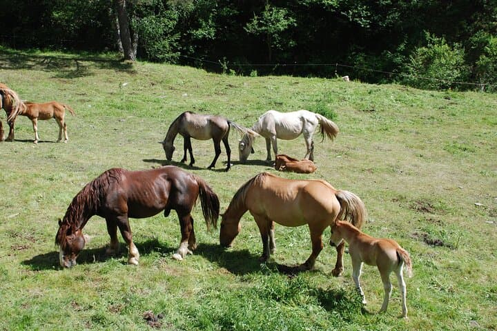 Self Drive Hiking Adventure in the Spanish Pyrenees 7 Days